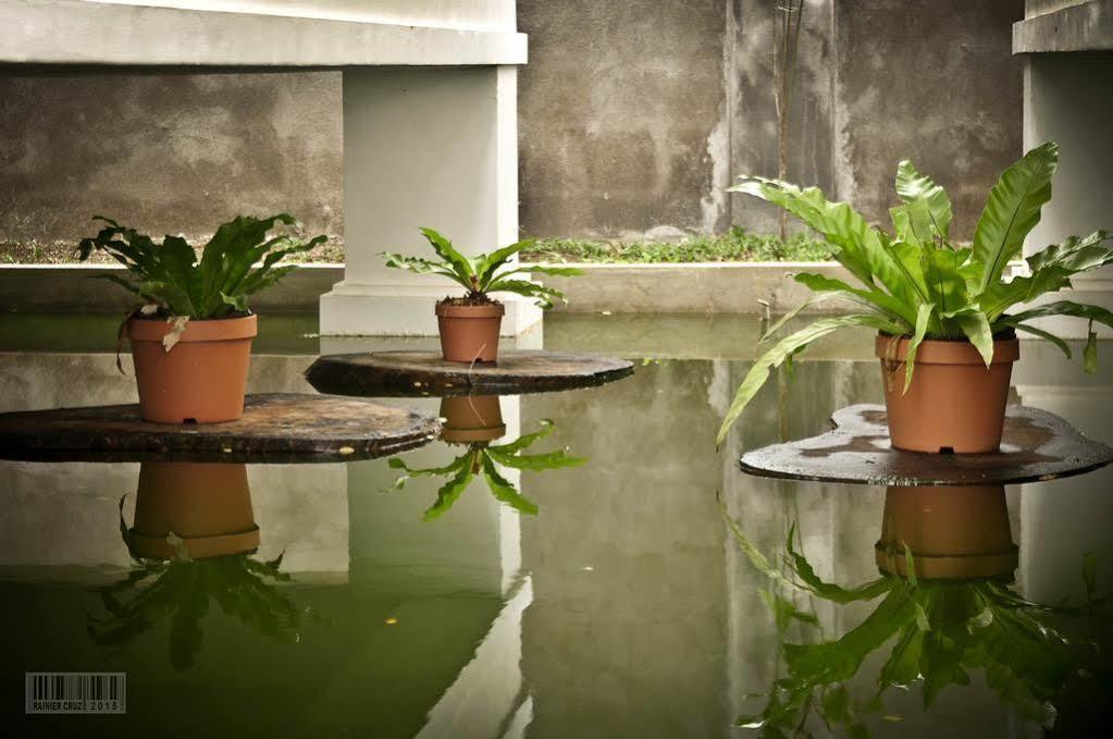 คลีออน วิลลา เพนชัน Bed & Breakfast Puerto Princesa ภายนอก รูปภาพ